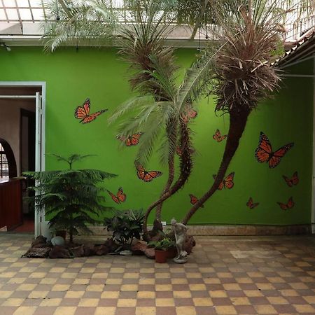 Casa Mayela Guest House 산호세 외부 사진