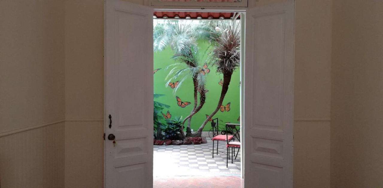 Casa Mayela Guest House 산호세 외부 사진